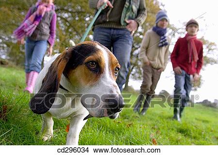 Picture - boy, child, brother, animal. Fotosearch