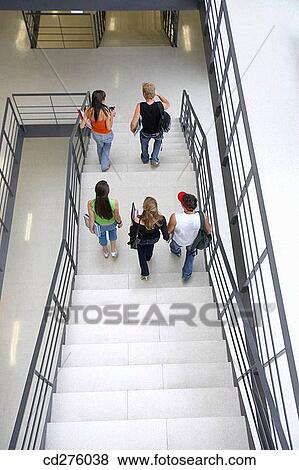 boy, companion, college, adolescence View Large Photo Image Stock Photo - boy, companion, college, adolescence. Fotosearch