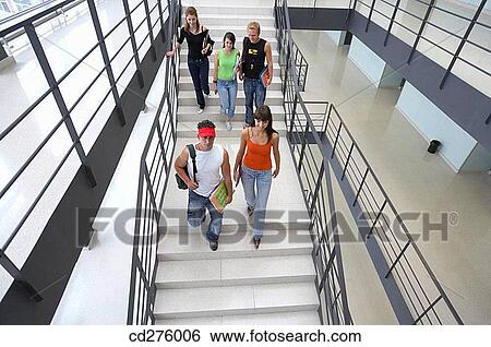 boy, companion, college, adolescence View Large Photo Image Stock Photograph - boy, companion, college, adolescence. Fotosearch