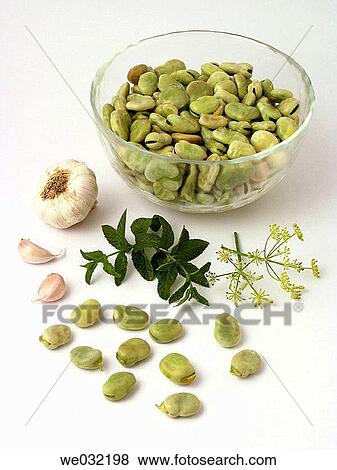 Broad beans View Large Photo Image Stock Photo - Broad beans. Fotosearch
