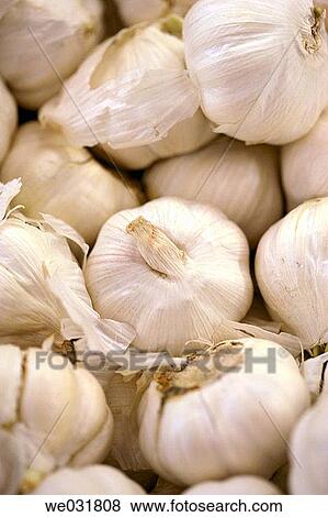 Bunch of garlic cloves View Large Photo Image Stock Photo - Bunch of garlic cloves. Fotosearch