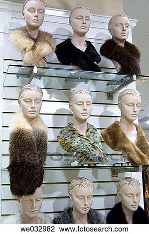 bust, different, contemporary, collection, accessory View Large Photo Image Stock Image - bust, different, contemporary, collection, accessory. Fotosearch