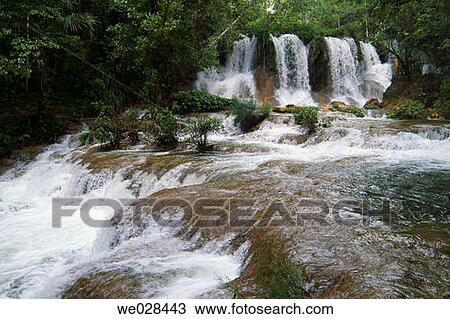 Cascada de las Golondrinas. Lacanjah river. Lacandon Forest. Chiapas. Mexico. View Large Photo Image Stock Image - Cascada de las Golondrinas. Lacanjah river. Lacandon Forest. Chiapas. Mexico.. Fotosearch