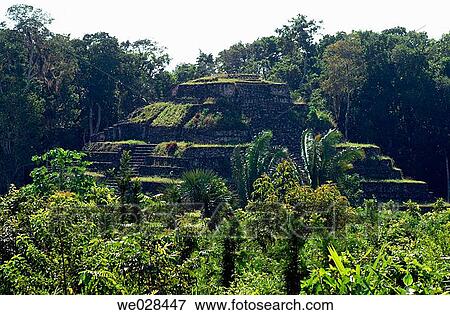 Chacchoben. Quintana-Roo. Yucatßn. Mexico. View Large Photo Image Stock Photo - Chacchoben. Quintana-Roo. Yucatßn. Mexico.. Fotosearch