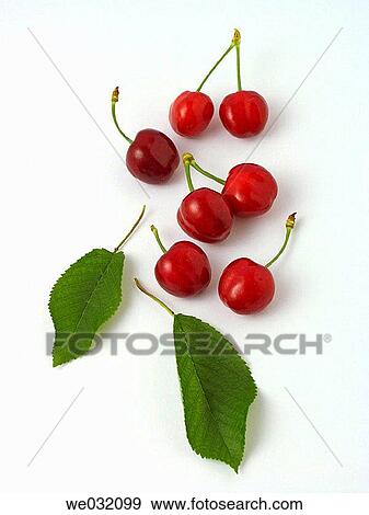 Stock Photo - Cherries. Fotosearch