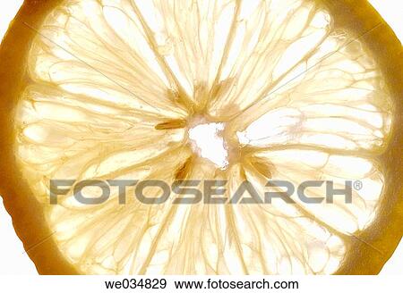 Citrus fruit, Close-up, food, fruit, healthy View Large Photo Image Stock Photo - Citrus fruit, Close-up, food, fruit, healthy. Fotosearch