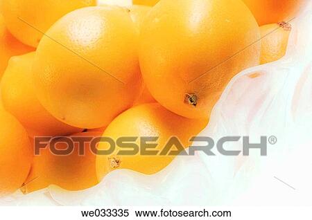 Citrus limonum View Large Photo Image Stock Photography - Citrus limonum. Fotosearch