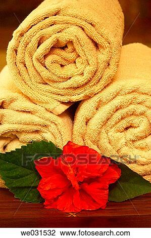 Stock Image - Close-up, concept, flower, heap, heaped. Fotosearch