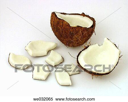 Coconut View Large Photo Image Stock Photography - Coconut. Fotosearch