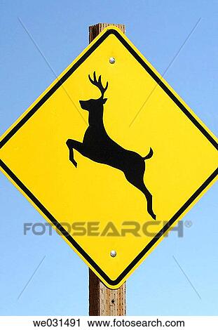 Stock Image - Deer crossing. Fotosearch