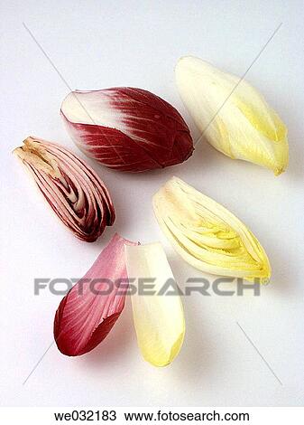 Endives View Large Photo Image Stock Image - Endives. Fotosearch