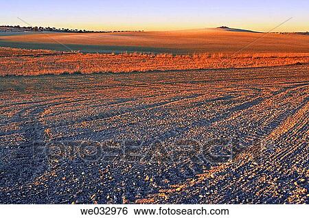Evening light at Pinto fields. Madrid province. Spain View Large Photo Image Stock Photograph - Evening light at Pinto fields. Madrid province. Spain. Fotosearch