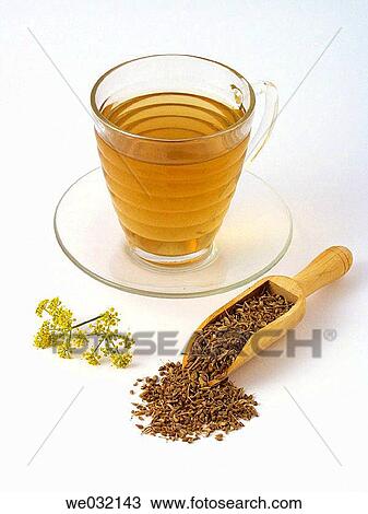 Fennel seeds View Large Photo Image Stock Image - Fennel seeds. Fotosearch