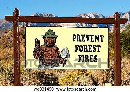 Forest fire sign View Large Photo Image Stock Image - Forest fire sign. Fotosearch