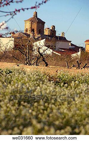 Ginestar. Ribera d? Ebre, Tarragona province. Catalonia, Spain View Large Photo Image Stock Image - Ginestar. Ribera d? Ebre, Tarragona province. Catalonia, Spain. Fotosearch