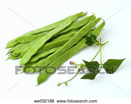 Green beans View Large Photo Image Stock Photo - Green beans. Fotosearch