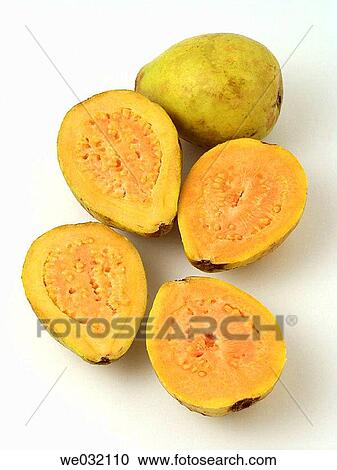 Guavas View Large Photo Image Stock Image - Guavas. Fotosearch