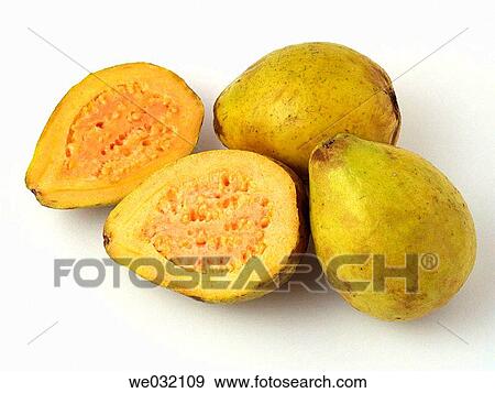 Guavas View Large Photo Image Stock Photo - Guavas. Fotosearch