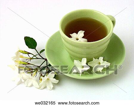 Jasmine tea View Large Photo Image Stock Photography - Jasmine tea. Fotosearch
