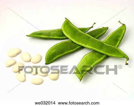 Large beans View Large Photo Image Picture - Large beans. Fotosearch