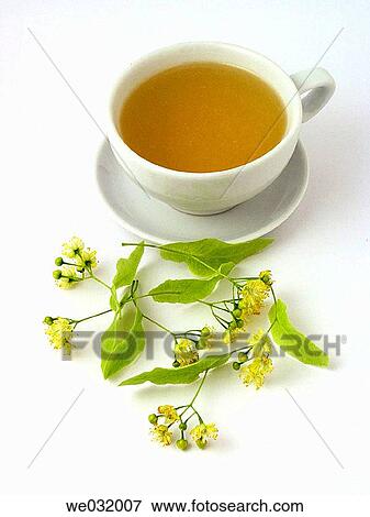 Lime tea View Large Photo Image Stock Photo - Lime tea. Fotosearch