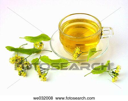 Lime tea View Large Photo Image Stock Photo - Lime tea. Fotosearch