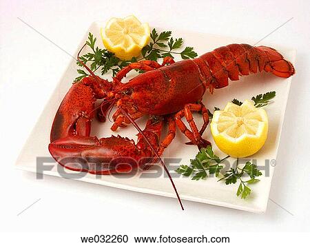 Lobster View Large Photo Image Stock Image - Lobster. Fotosearch