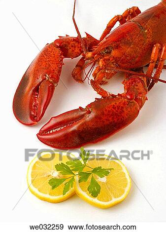 Lobster View Large Photo Image Stock Photo - Lobster. Fotosearch