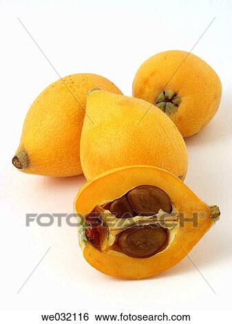 Loquats View Large Photo Image Stock Photograph - Loquats. Fotosearch