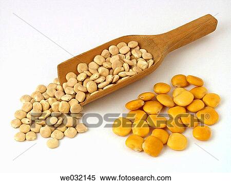 Stock Photography - Lupines. Fotosearch