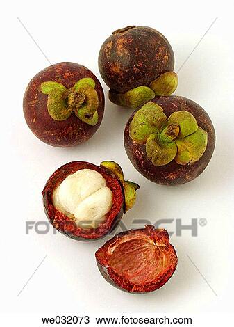 Mangosteens View Large Photo Image Stock Image - Mangosteens. Fotosearch