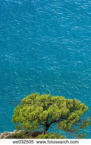 Maro cliffs, Cerro Gordo area. Axarqu? a, Costa del Sol. Mßlaga province, Andalusia. Spain View Large Photo Image Stock Photography - Maro cliffs, Cerro Gordo area. Axarqu? a, Costa del Sol. Mßlaga province, Andalusia. Spain. Fotosearch