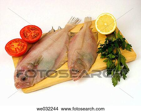 Picture - Megrims. Fotosearch