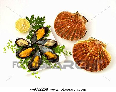 Mussels and scallops View Large Photo Image Stock Photo - Mussels and scallops. Fotosearch