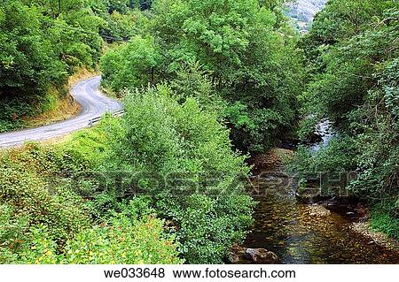 Nalon river, Redes Natural Park. Campo de Caso, Asturias, Spain View Large Photo Image Stock Photo - Nalon river, Redes Natural Park. Campo de Caso, Asturias, Spain. Fotosearch