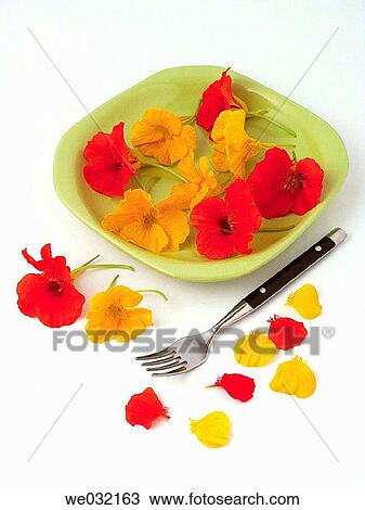 Nasturtiums, edible flowers View Large Photo Image Stock Image - Nasturtiums, edible flowers. Fotosearch