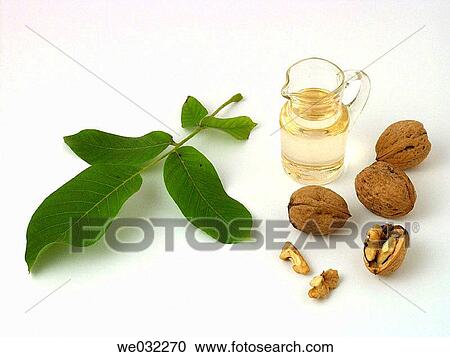 Nut oil View Large Photo Image Stock Image - Nut oil. Fotosearch