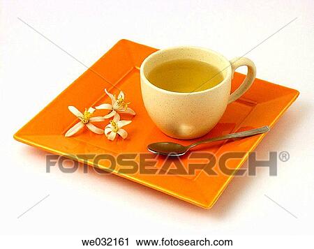 Orange blossom infusion View Large Photo Image Stock Image - Orange blossom infusion. Fotosearch