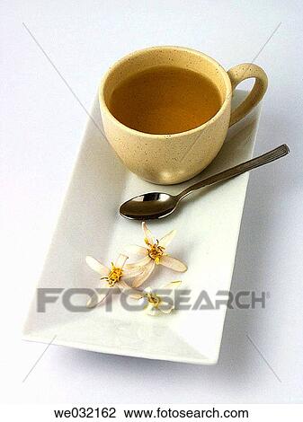 Orange blossom infusion View Large Photo Image Stock Image - Orange blossom infusion. Fotosearch