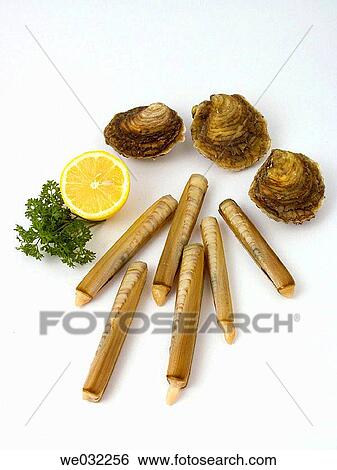 Oysters and razor shells View Large Photo Image Stock Photograph - Oysters and razor shells. Fotosearch