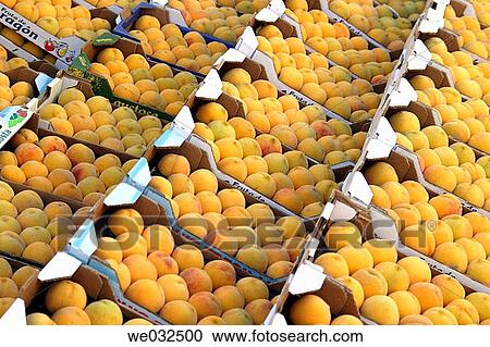 Peaches View Large Photo Image Stock Image - Peaches. Fotosearch
