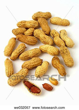 Peanuts View Large Photo Image Stock Photo - Peanuts. Fotosearch