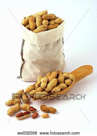 Peanuts View Large Photo Image Stock Photograph - Peanuts. Fotosearch
