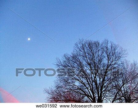 Photo from a car of night time View Large Photo Image Stock Image - Photo from a car of night time. Fotosearch