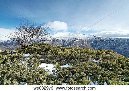 Pico del Cerr? n, Sierra de Ayll? n y Ocej? n. Guadalajara province. Spain View Large Photo Image Stock Image - Pico del Cerr? n, Sierra de Ayll? n y Ocej? n. Guadalajara province. Spain. Fotosearch