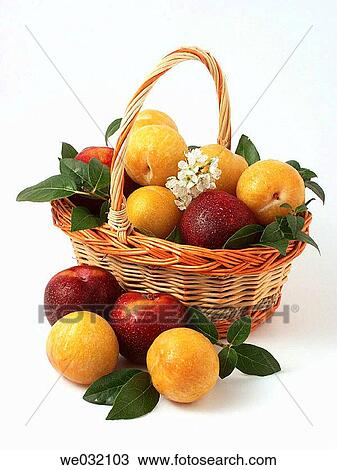 Plums View Large Photo Image Stock Image - Plums. Fotosearch