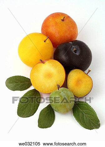 Plums View Large Photo Image Stock Photography - Plums. Fotosearch