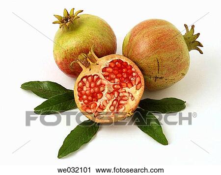 Pomegranates View Large Photo Image Stock Image - Pomegranates. Fotosearch