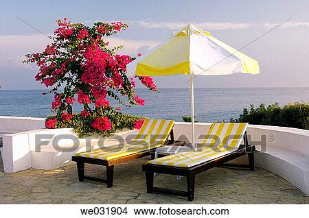 Picture - Poolside umbrellas and loungers at the Jasmine Court Hotel in Girne, Cyprus.. Fotosearch