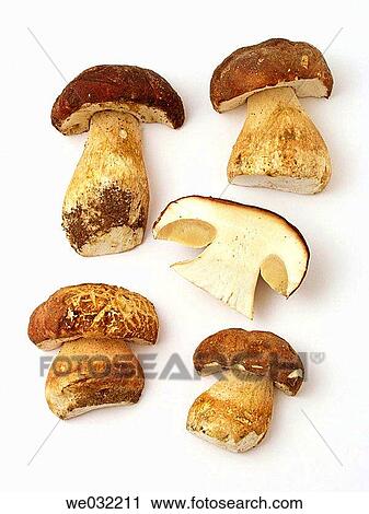Stock Image - Porcini aka Penny Bun or Cep (Boletus edulis). Fotosearch